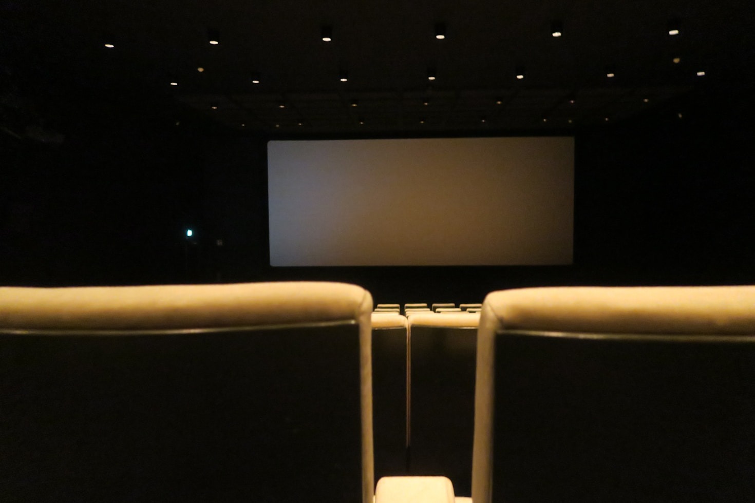 Exploring the World of Low-Budget Masterpieces